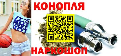 гашик Можга