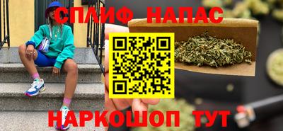 гашик Можга