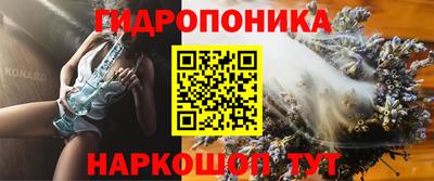 Альфа ПВП Моздок