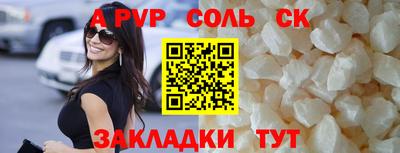 Альфа ПВП Моздок